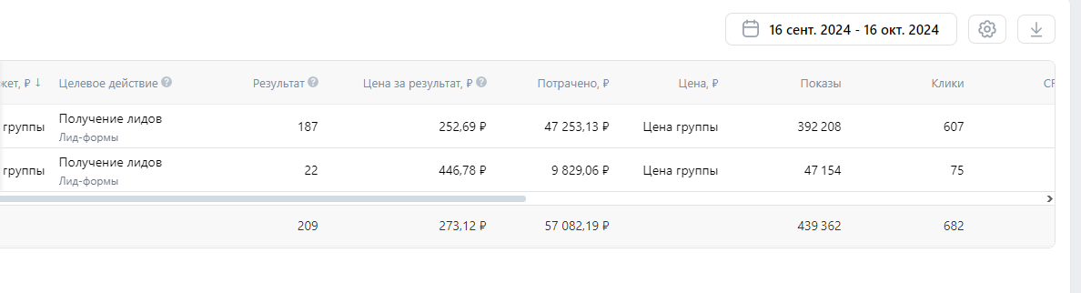 Показатели рекламного кабинета: 209 заявок